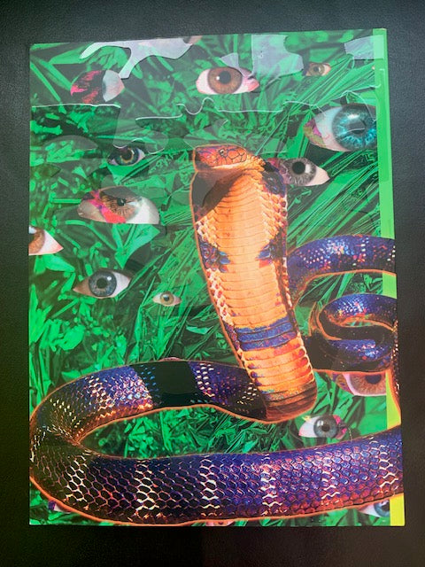 Cave Homo Day Sleeper Magazine by Luke Williams